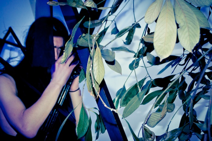 tree of life