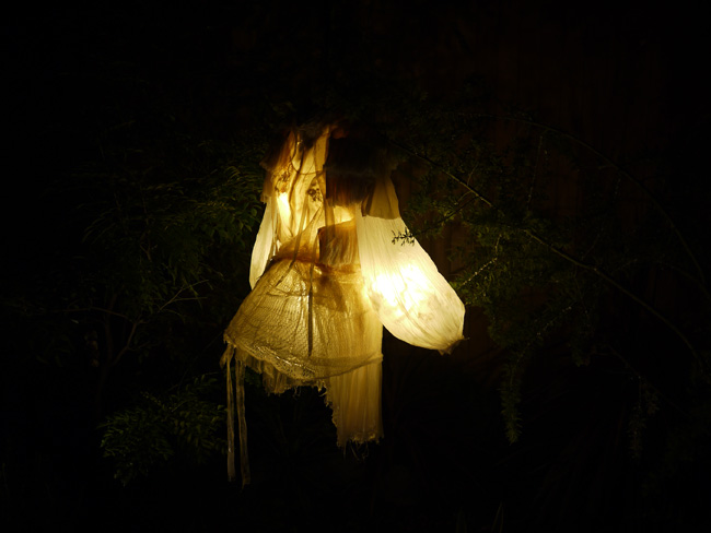 firefly