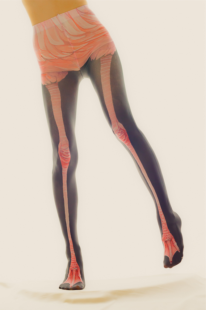 flamingo